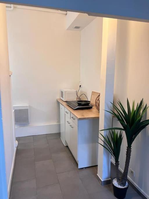 Appartement Idealement Situe Montereau-faut-Yonne Dış mekan fotoğraf